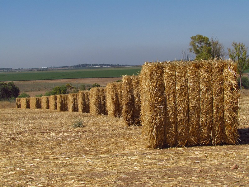 מהקטן לגדול???