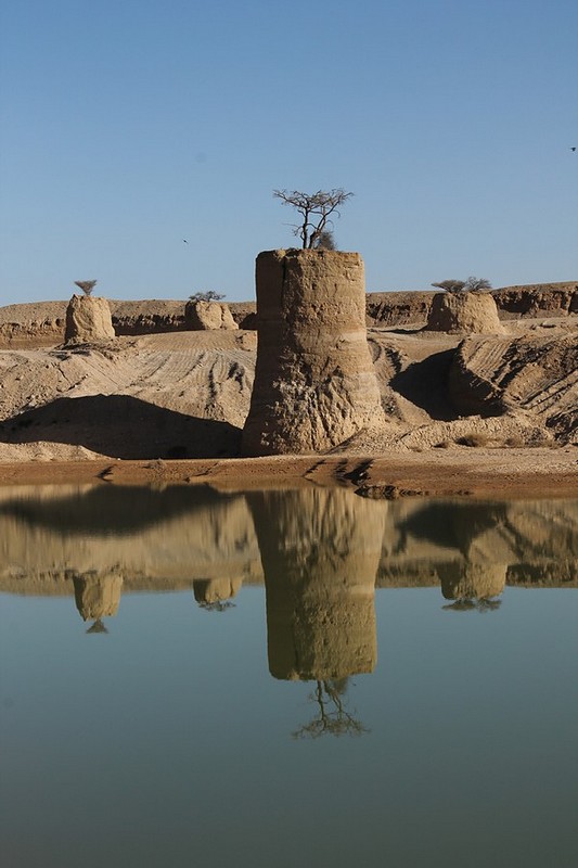 צילום: אלכסנדר שפירו