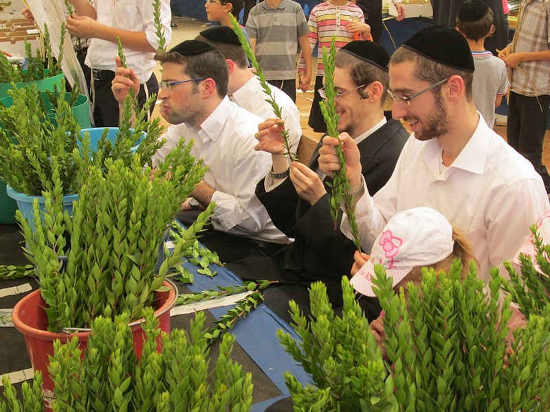 צילום: בעז פסטרנק