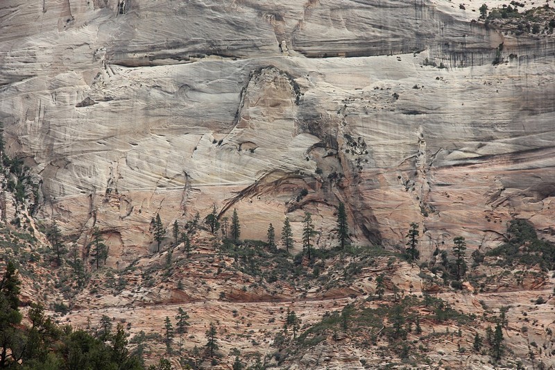 צילום: ישראל שיינרט