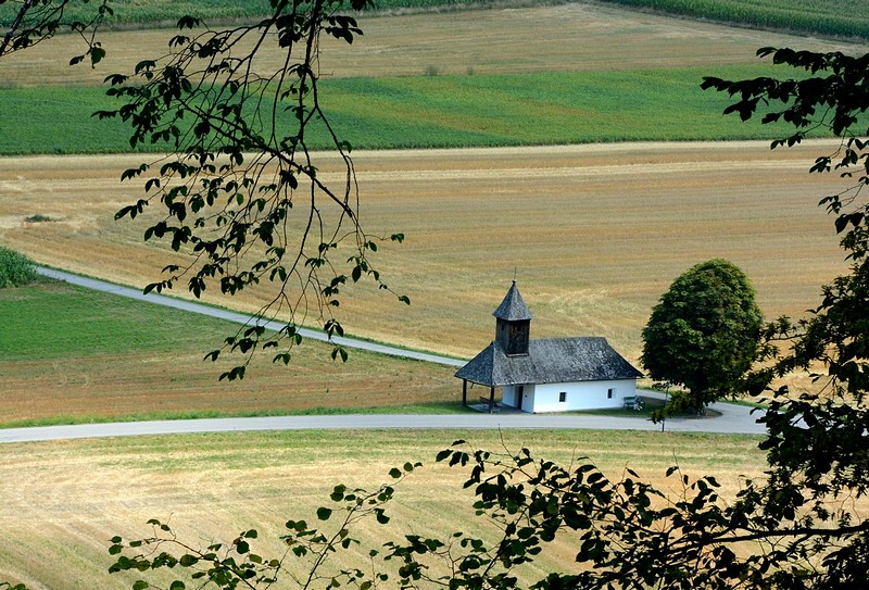 צילום: טלי נחשון דג