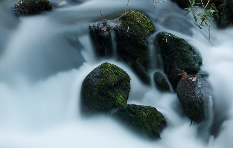 תמונה זורמת....