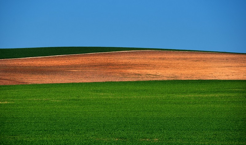 אבסטרקט של הטבע