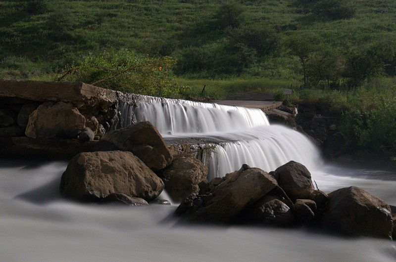 צילום: אלכס פולוקרוב