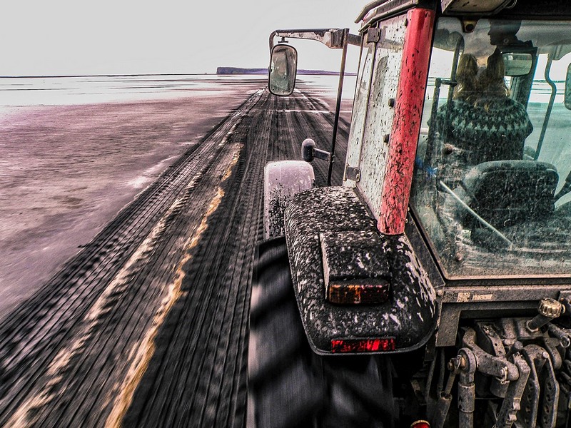 לצוק הפאפינס בשעת שפל