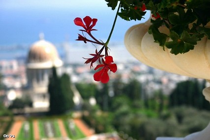 התפל ולא העיקר