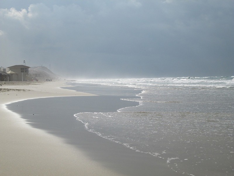 צילום: בעז פסטרנק