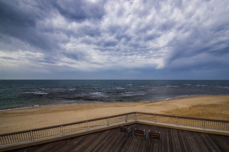 עג'מי,נוכחים נפקדים