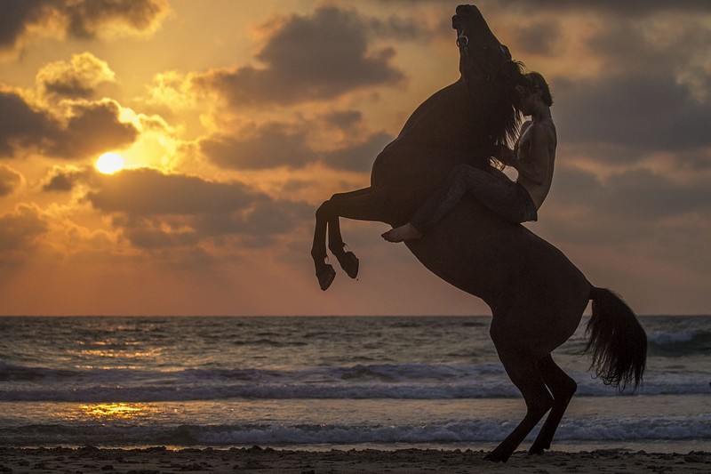 צילום: כריסטינה הורבט