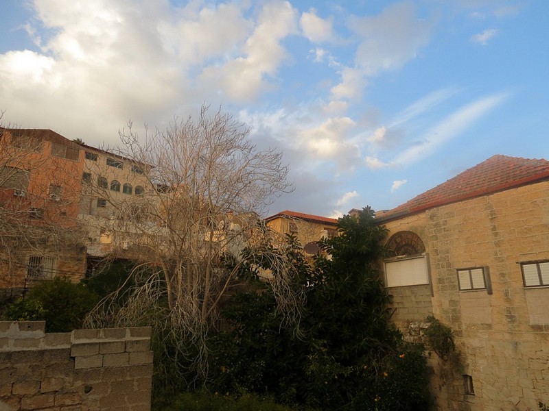 גוונים של חורף