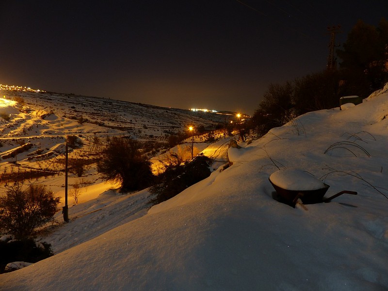 צילום: שרון הבר