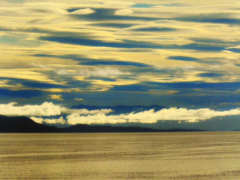 חופי הזהב הרחוקים