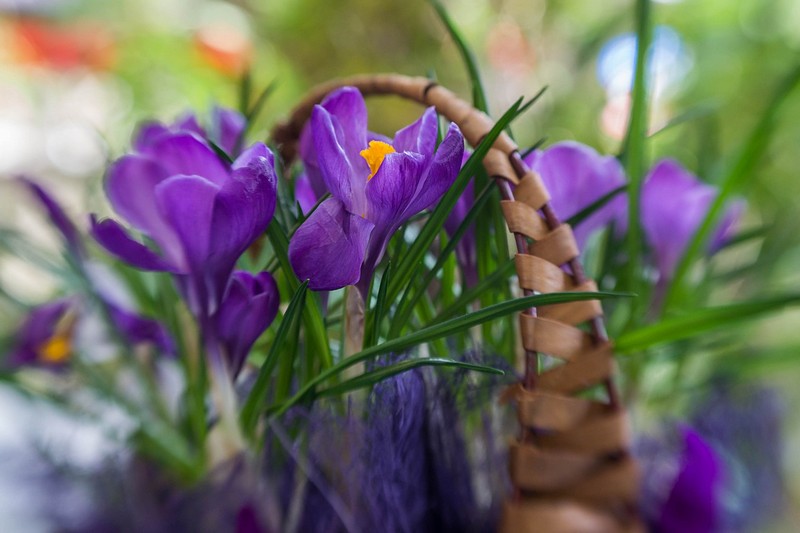 סלסלה פורחת