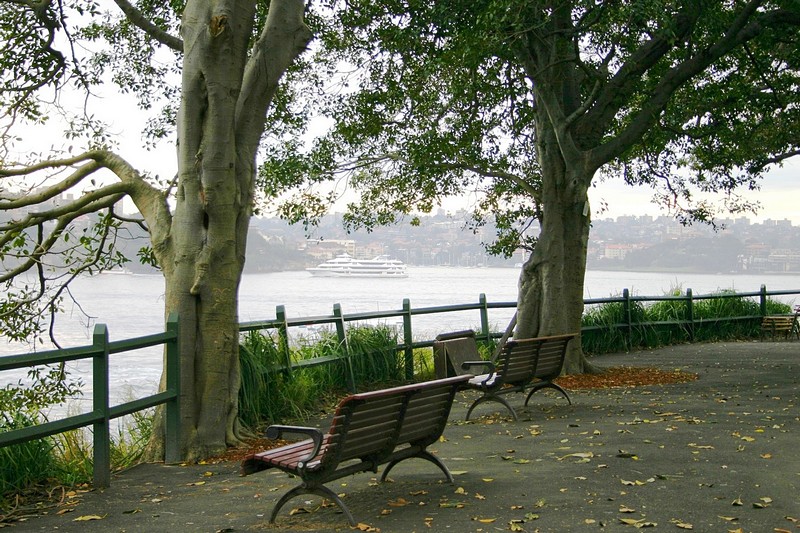 שלווה סתווית