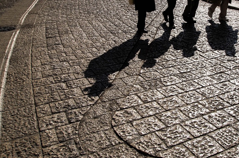 הולכים בט(צ)ל