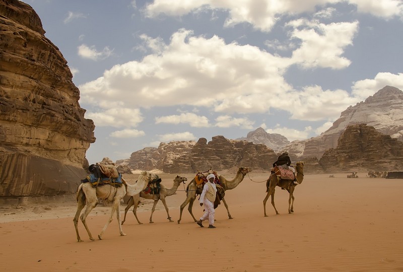 אורחת גמלים בואדי רם י