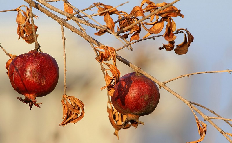 בסופו של דבר
