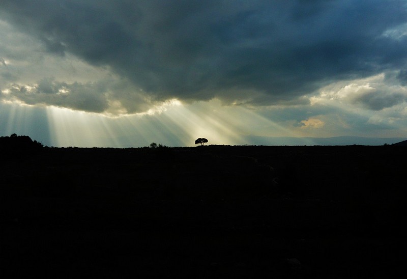 צילום: Batel Milshtein