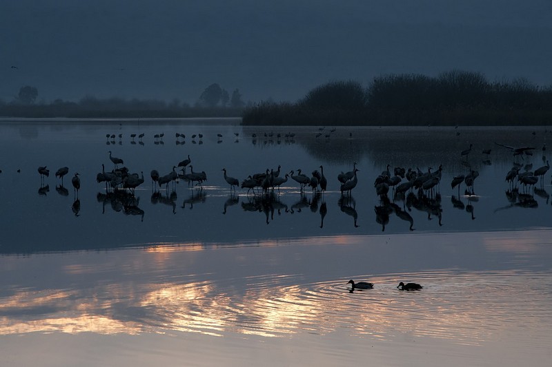 זריחה באגמון