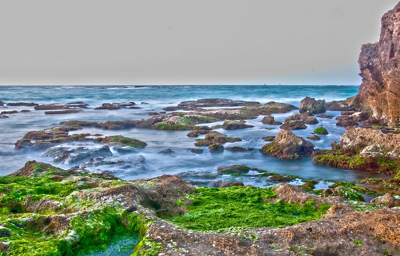 צילום: בועז וולסוביץ