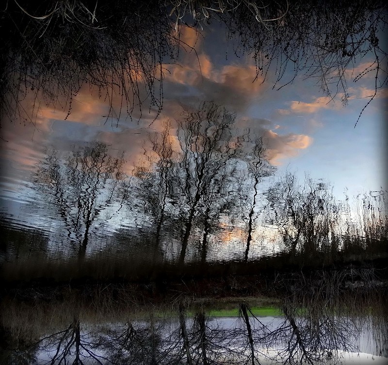 מזמן לא ציירתי... 