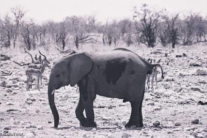 "7 דקות מטכ"ליות "...