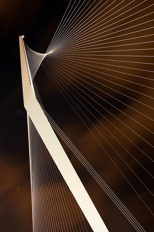 ראשו בשמיים!