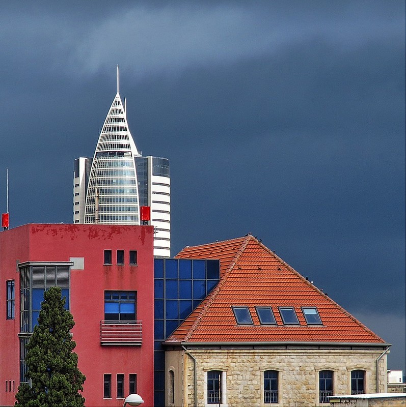 צילום: אלי מליץ