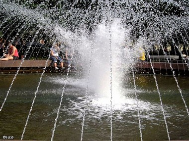 צילום: אלנה רגינסקי
