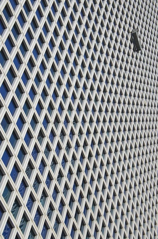 מנקה החלונות