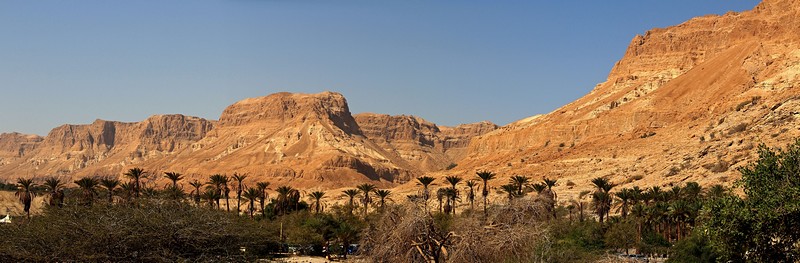 נופי עין גדי