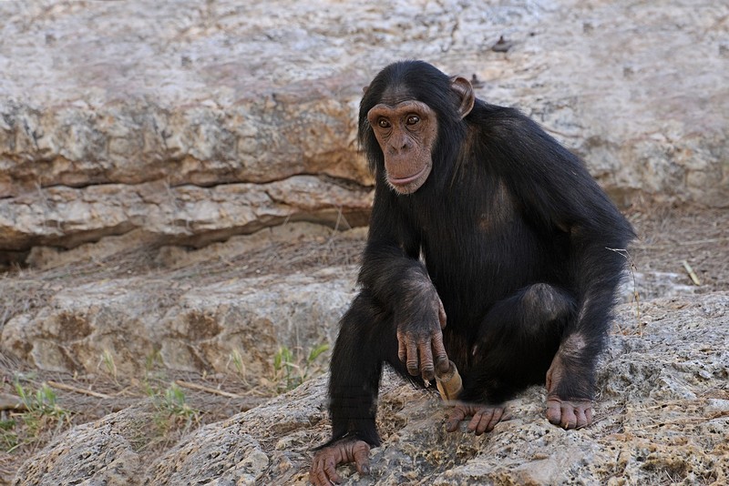 מה קורה אחי