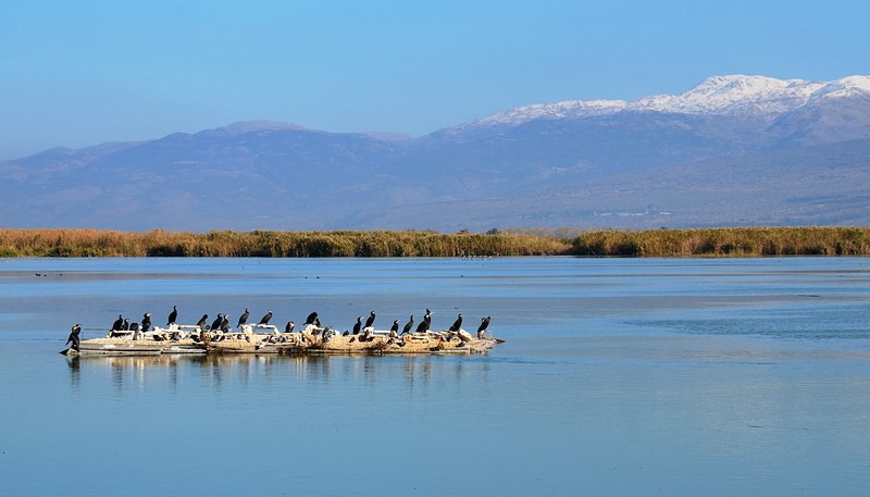 מהצפון באהבה!