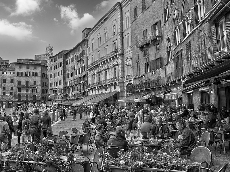 פיאצה איטלקית