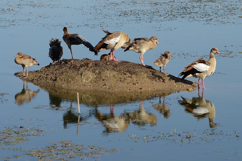 צילום: זוהר גץ
