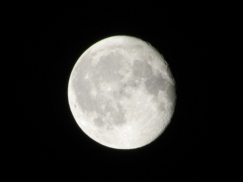 נגוס.אבל בקטנה ;-)