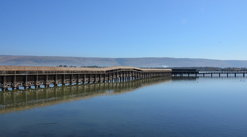 כמעט פנורמה...