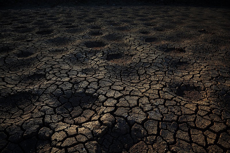 צילום: דוד אוחנה
