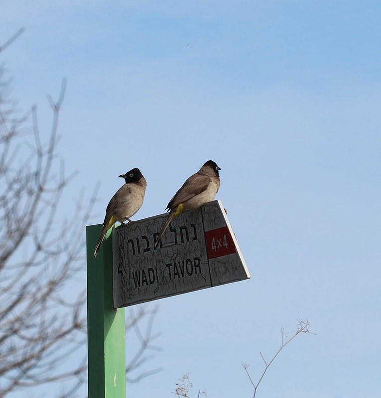 אנחנו, רק 2X2