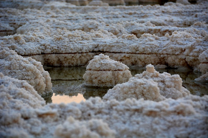 צילום: יעל קובשילובסקי