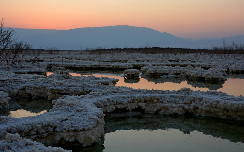 צילום: יעל קובשילובסקי