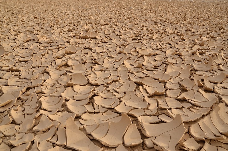 מדבר אחרי שיטפון