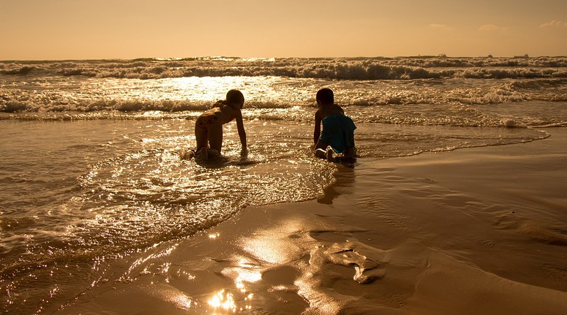 צילום: עמית כהן