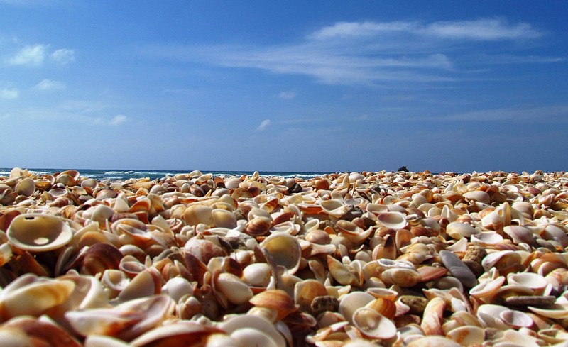 "חוק השליש"?לא היום...