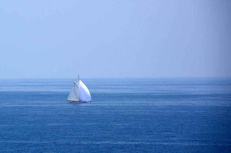שוטי ספינתי