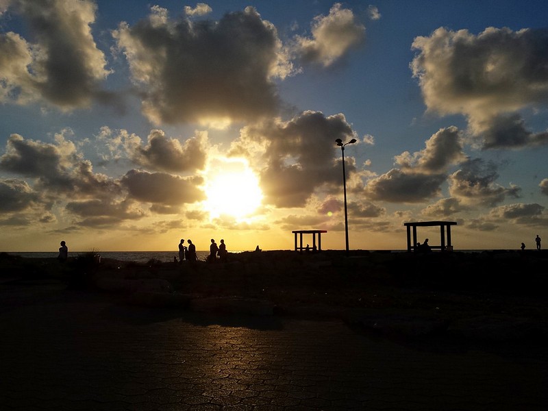 צילום: אורן לוי