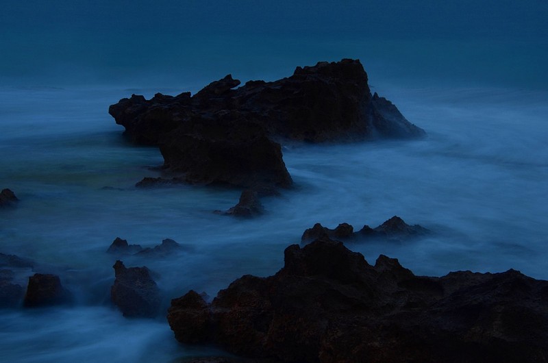 מזדקרים במתוך המערבולת