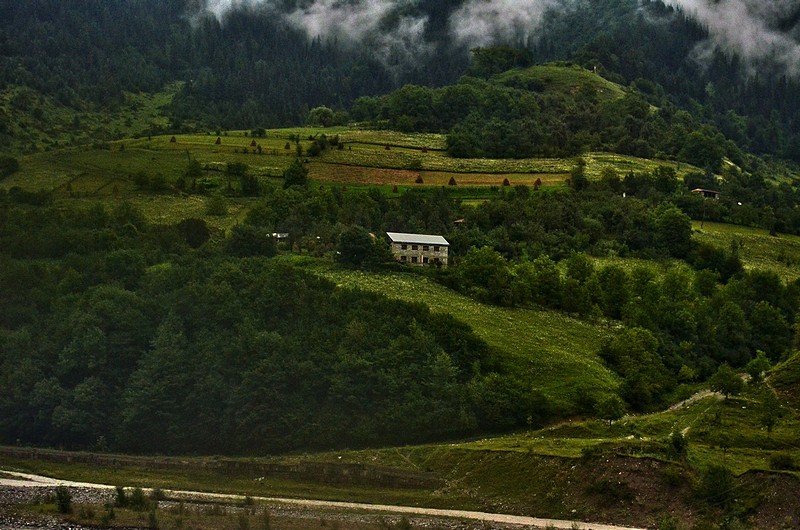 משיכות המכחול של יולי