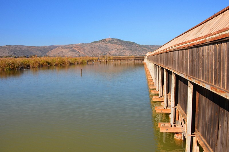 מבט נוסף לגשר השמורה.