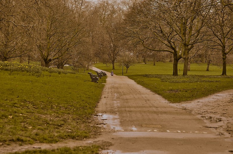 הדרך ארכה עד מאד 